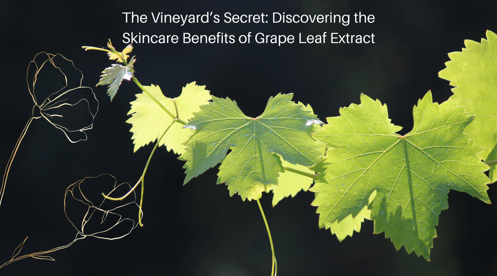 The Vineyard’s Secret: Discovering the Skincare Benefits of Grape Leaf Extract